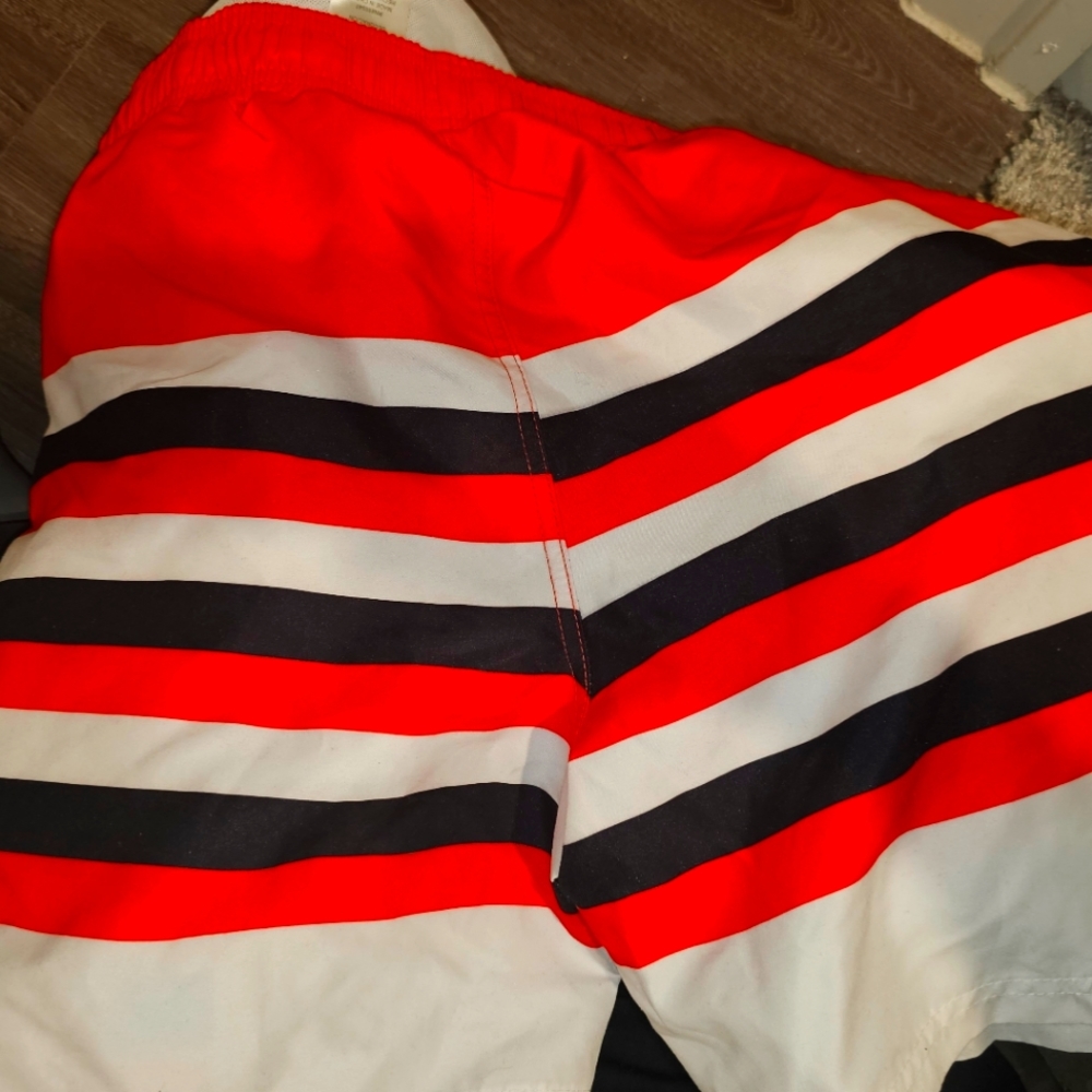 NASA Swim trunk